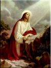 Tajemnica Bolesna - Modlitwa pana Jezusa w Ogr�jcu